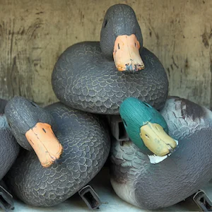 Birds Do It, Bees Do It, Even Amoebas Do It: Understanding the Decoy Effect