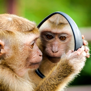 The Psychology of Mirroring: The Sales Skill You Didn’t Know You Were Using