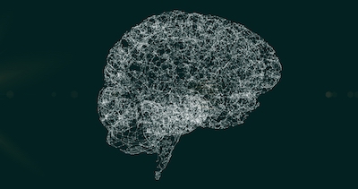 Our brains respond to disappointment so we can avoid it in the future.