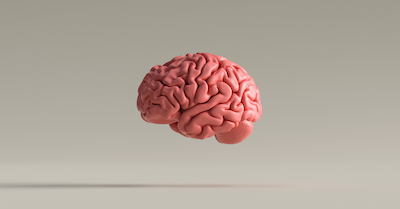 Our brains judge whether someone is trustworthy in a matter of milliseconds.