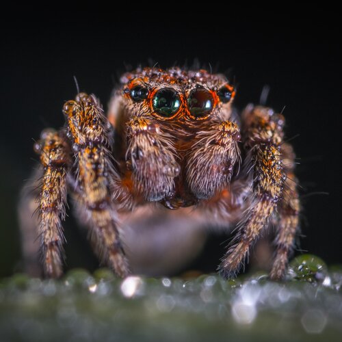 Bad Omens and Signs Your Deal Is at Death’s Door