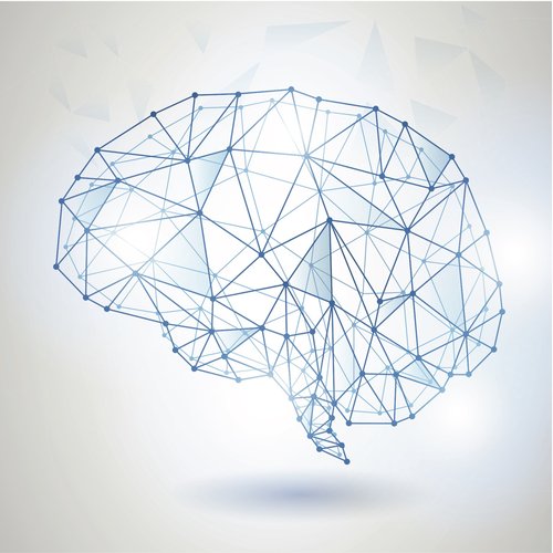 Forget Everything You Thought You Knew About the Brain