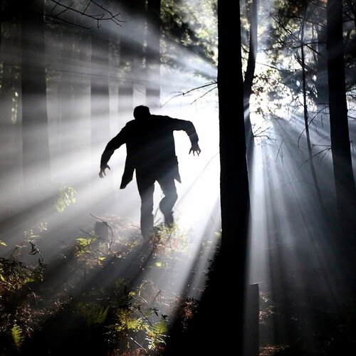 Sales News, October 2021