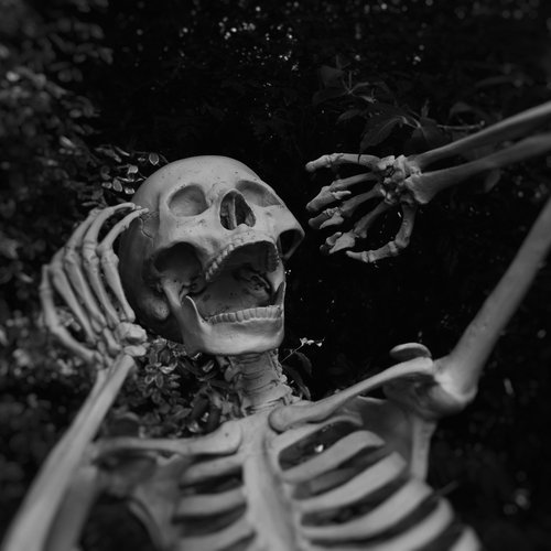 Sales Horror Stories