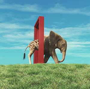 This Is Your Mind on Epiphany