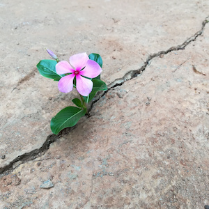 How Buyer Resilience Impacts the Sale