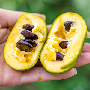 The Bitter Truth About Confirmation Bias