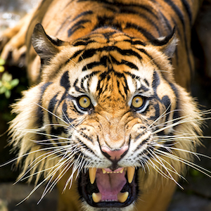 Getting Feedback Without the Freak-Out