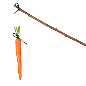 Real-World Compensation Plans