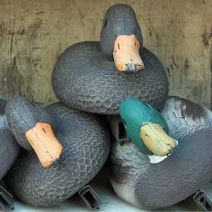 Birds Do It, Bees Do It, Even Amoebas Do It: Understanding the Decoy Effect