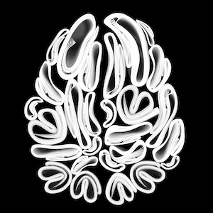 I Was Told There'd Be Neurons