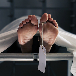 Grab Your Bone Saw—We’re Having a Post-Mortem!