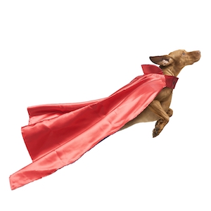 Sales Weaknesses or Sales Superpowers?