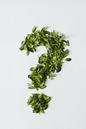 Practice question trees every day to continually improve your skills.