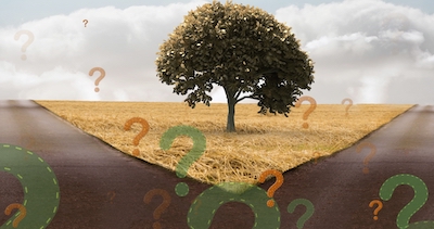 Getting skilled at preparing question trees can help you anywhere throughout your career.