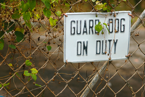 Guarding the successes you've built means you're preserving future successes and guarding against failure.