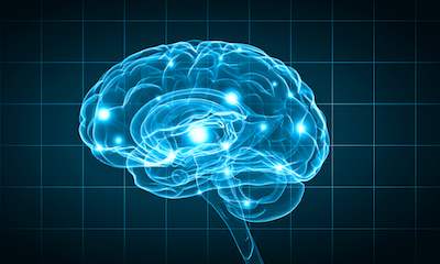 Salience triggers a dopamine release in the brain.