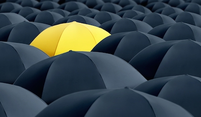 The salience bias serves us well, but it can also result in flawed decision-making.